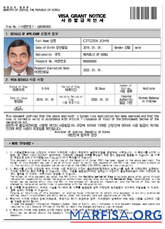 Printable Korea e visa real example